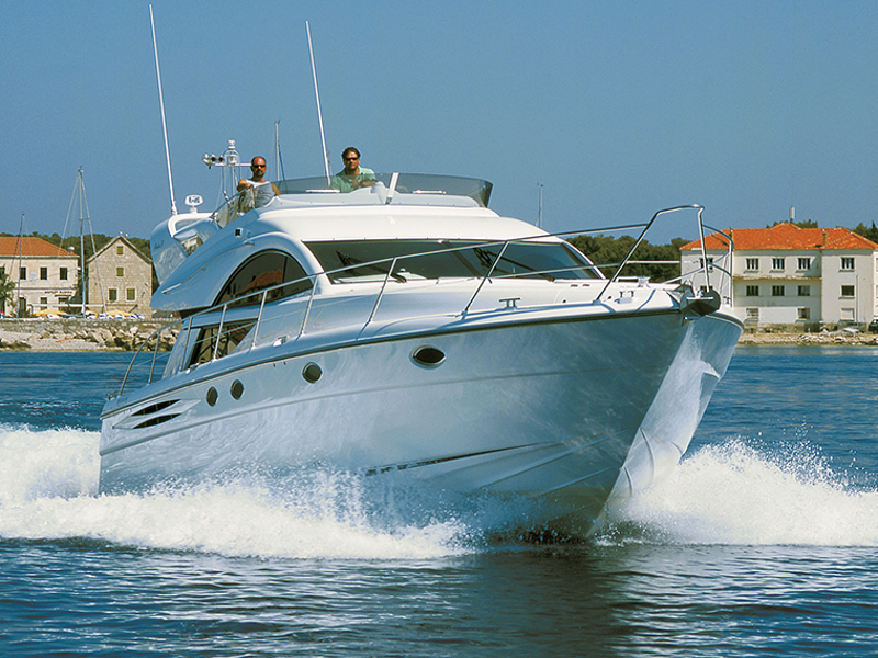 Ocean Majesty - Image 1
